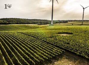 Weingut Artner