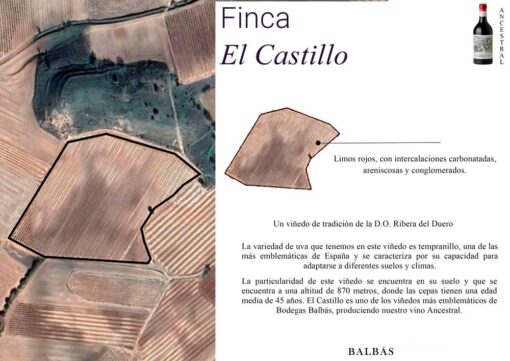 Bodega Balbás - Ancestral