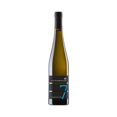 Sauvignon Blanc Fumé trocken 2021 – Bamberger