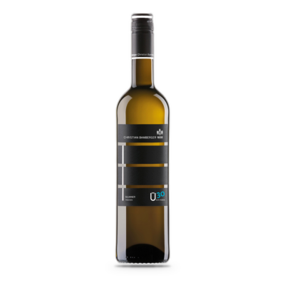 Silvaner trocken 2023 - Bamberger