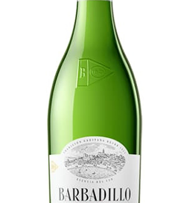Palomino 2024 - Barbadillo