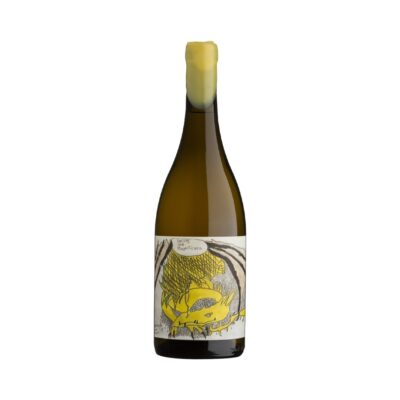 Smaug the magnificent 2022 - Blank Bottle