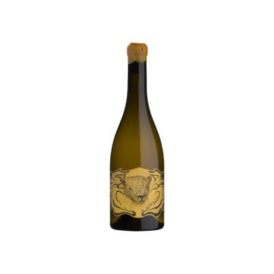 TBC 2022 - Blank Bottle