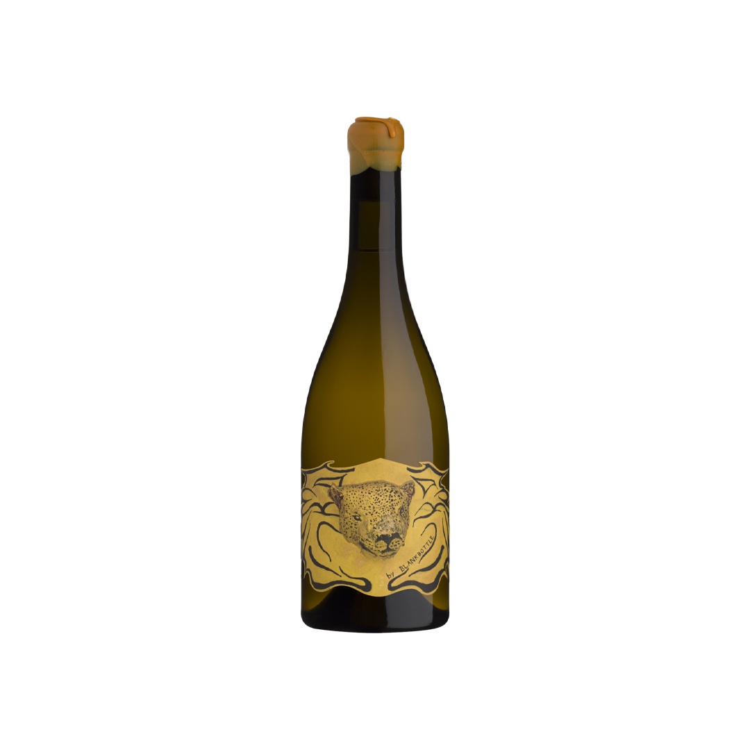 TBC 2022 - Blank Bottle