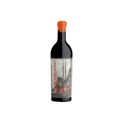 BIG 2021 - Blank Bottle