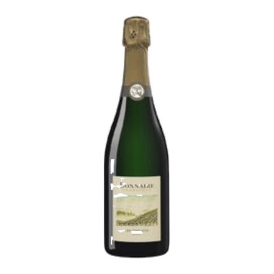 Les Versants Brut - Bonnaire