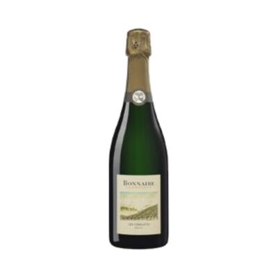 Les Versants Brut - Bonnaire