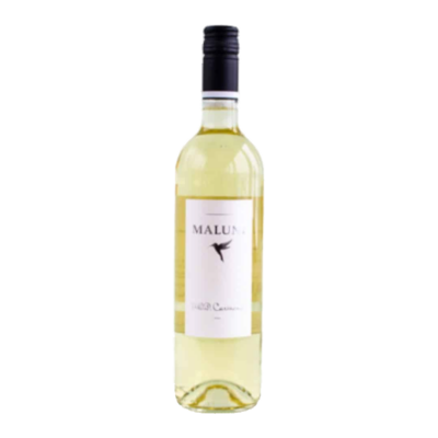 Blanco - Maluni fles op witte achtergrond zonder schaduw