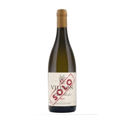Solo White Merlot 2024 - Villion Wines