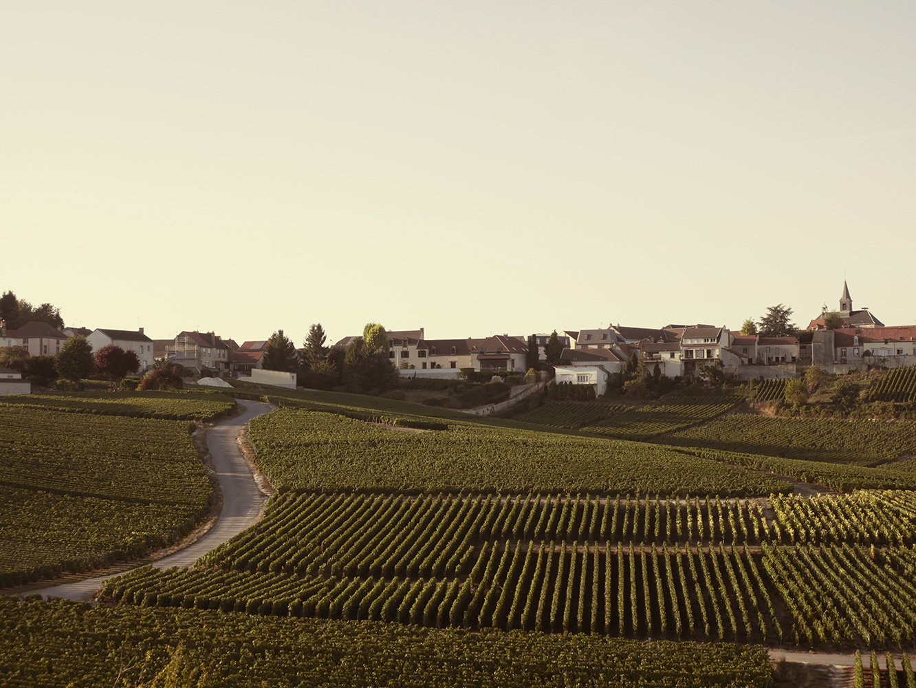 Bonnaire wijnhuis in Cramant, Champagne