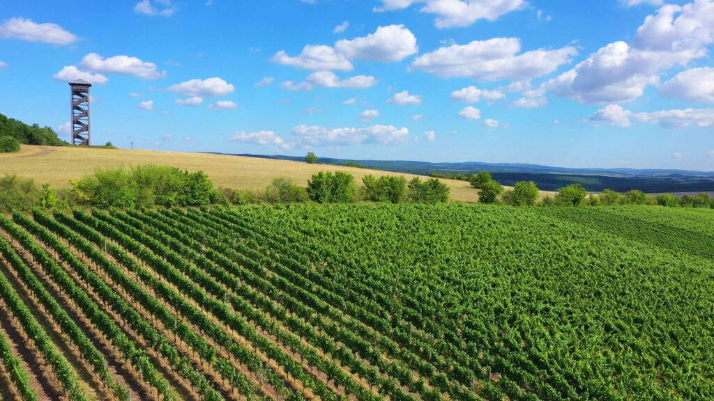 Weingut Christian Bamberger – Steinhardter Hof wijnhuis