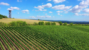 Weingut Christian Bamberger – Steinhardter Hof