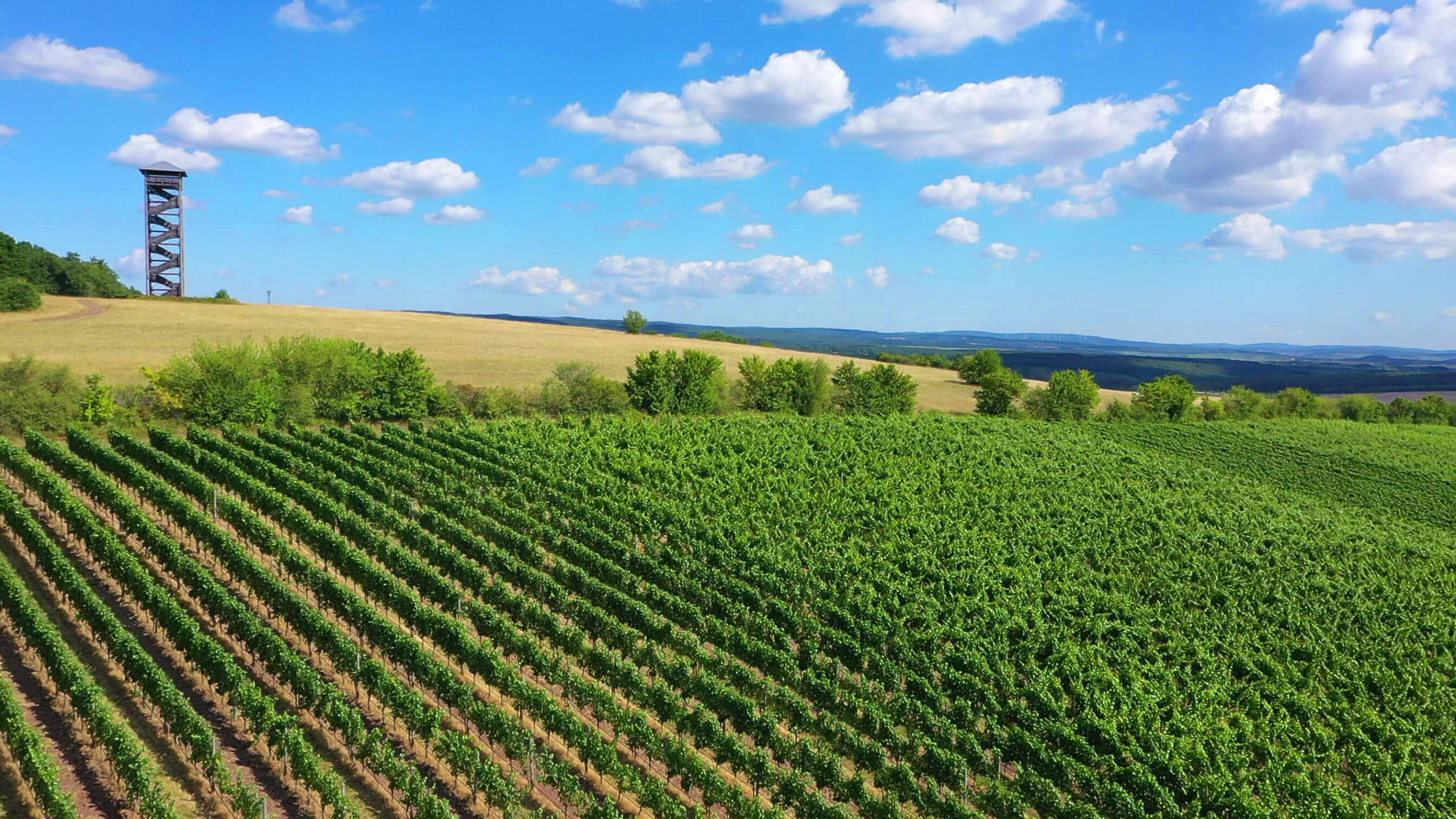 Weingut Christian Bamberger – Steinhardter Hof wijnhuis